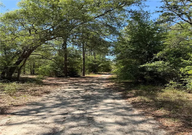 Photo 1 of Land for sale at Tbd Northeast 107th Ct, Bronson, FL 32621 | MLS# OM725779 | Listing updated on 2026-06-10