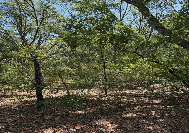 Photo 2 of Land for sale at Tbd Northeast 107th Ct, Bronson, FL 32621 | MLS# OM725779 | Listing updated on 2026-06-10