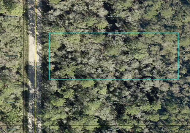 Homes for sale in Hastings, FL | 10690 Hennessey Ave, Hastings, FL 32145 | MLS# TB8514418