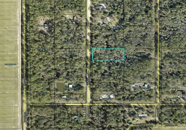 Homes for sale in Hastings, FL | 10690 Hennessey Ave, Hastings, FL 32145 | MLS# TB8514418