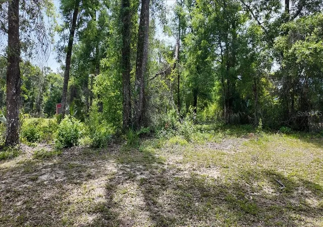 Homes for sale in Fanning Springs, FL | Katherine Wy, Fanning Springs, FL 32693 | MLS# W7886320