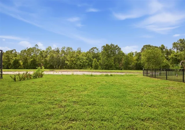 45th image of 20506 Carolina Cherry Ct, Tampa, FL 33647 | MLS# O6412763