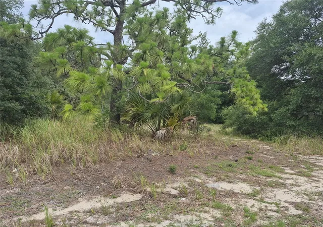 1st image of 1626 S Us 301, Sumterville, FL 33585 | MLS# G5113191
