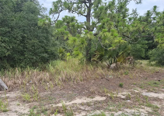 2nd image of 1626 S Us 301, Sumterville, FL 33585 | MLS# G5113191