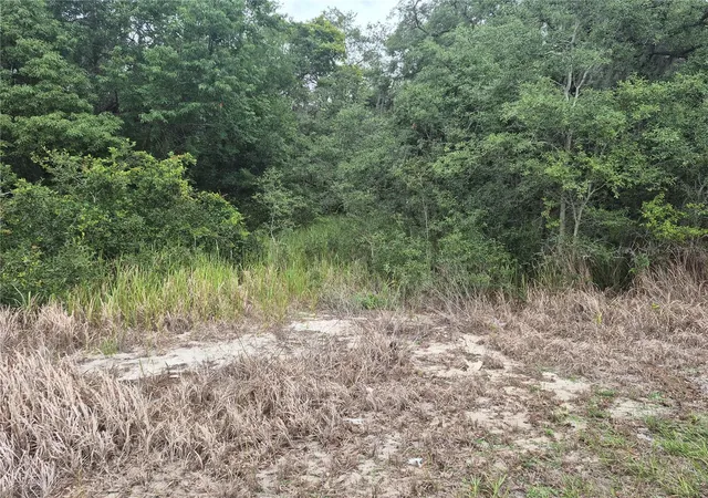 4th image of 1626 S Us 301, Sumterville, FL 33585 | MLS# G5113191