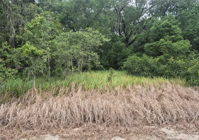 5th image of 1626 S Us 301, Sumterville, FL 33585 | MLS# G5113191