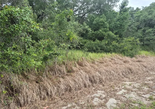 6th image of 1626 S Us 301, Sumterville, FL 33585 | MLS# G5113191