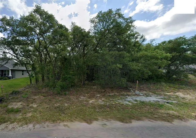 Homes for sale in Homosassa, FL | 14 Nemesia Ct E, Homosassa, FL 34446 | MLS# A4695643