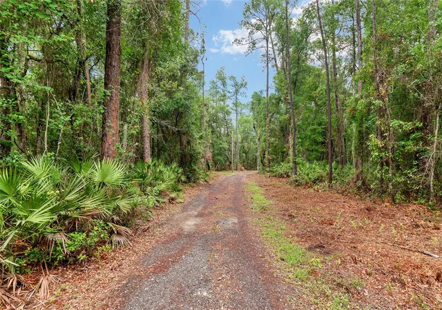 3rd image of 7622 Se County Road 234, Gainesville, FL 32641 | MLS# GC540837