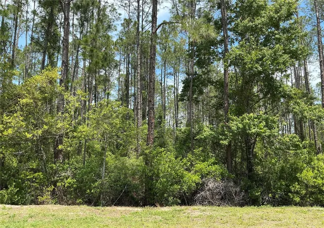Homes for sale in Hastings, FL | 4430 Vicki St, Hastings, FL 32145 | MLS# OM725850