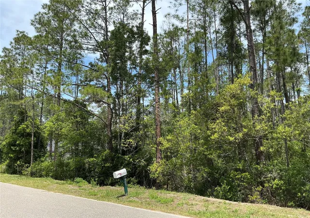 Homes for sale in Hastings, FL | 4430 Vicki St, Hastings, FL 32145 | MLS# OM725850