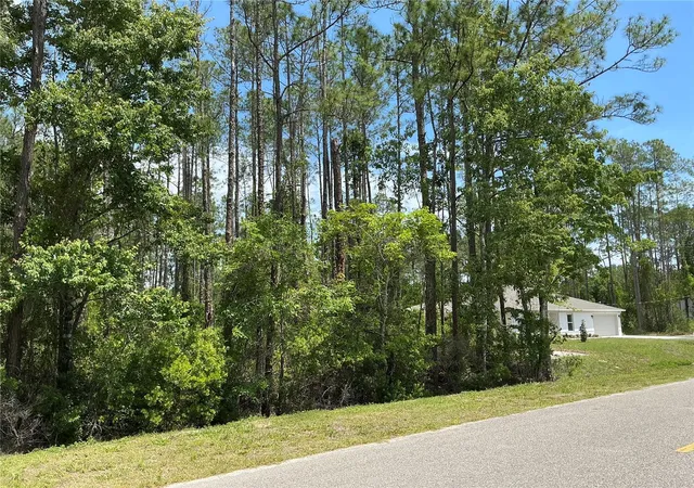 Homes for sale in Hastings, FL | 4430 Vicki St, Hastings, FL 32145 | MLS# OM725850