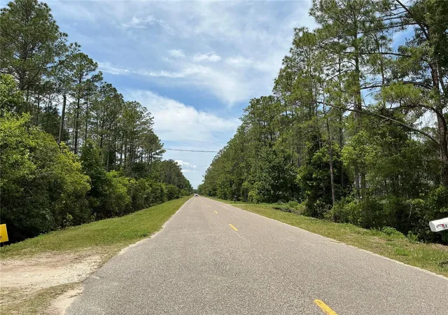 Homes for sale in Hastings, FL | 4430 Vicki St, Hastings, FL 32145 | MLS# OM725850