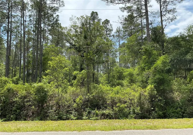 Homes for sale in Hastings, FL | 4365 Vicki St, Hastings, FL 32145 | MLS# OM725852