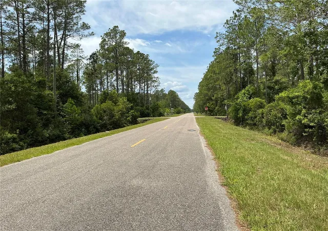Homes for sale in Hastings, FL | 4365 Vicki St, Hastings, FL 32145 | MLS# OM725852