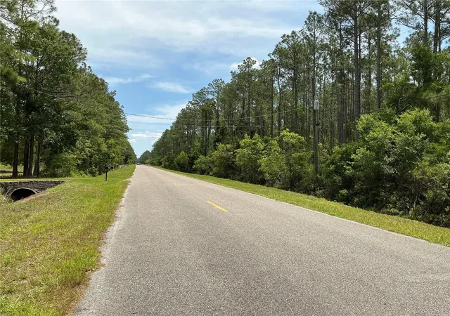 Homes for sale in Hastings, FL | 4365 Vicki St, Hastings, FL 32145 | MLS# OM725852