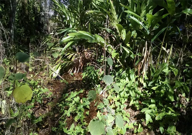 Photo 1 of Land for sale at 8 Santiago Rd, Debary, FL 32713 | MLS# R4911362 | Listing updated on 2026-09-20
