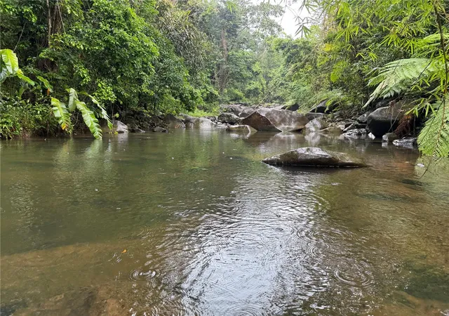 Photo 3 of Land for sale at Km 221 Pr 186, Rio Grande, PR 00745 | MLS# PR9121763 | Listing updated on 2026-07-18