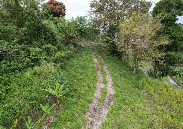 Photo 3 of Land for sale at Km 221 Pr 186, Rio Grande, PR 00745 | MLS# PR9121763 | Listing updated on 2026-07-18