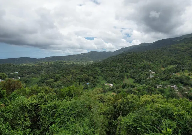 Photo 4 of Land for sale at Km 221 Pr 186, Rio Grande, PR 00745 | MLS# PR9121763 | Listing updated on 2026-07-18