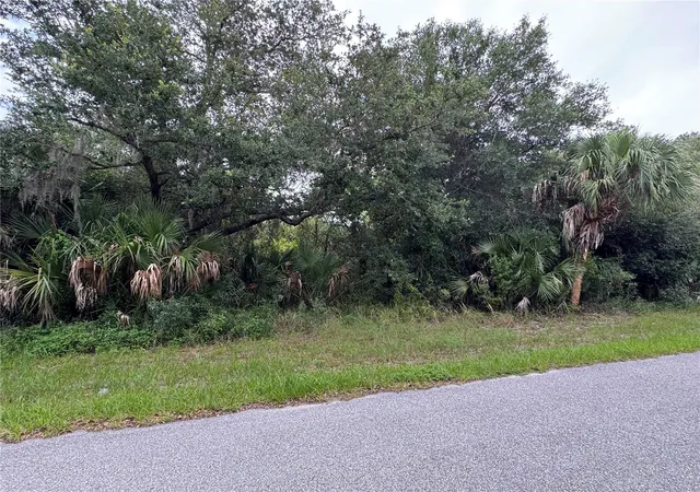 Photo 4 of Land for sale at 318 Leona St, Port Charlotte, FL 33954 | MLS# C7526868 | Listing updated on 2026-07-10