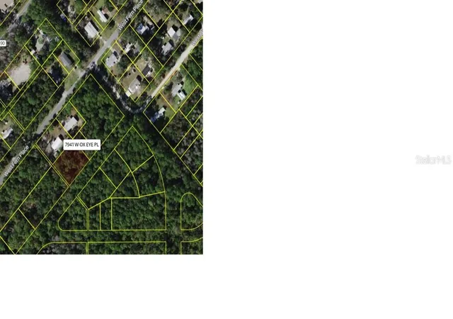Homes for sale in Homosassa, FL | 7941 W Ox Eye Pl, Homosassa, FL 34448 | MLS# W7886347