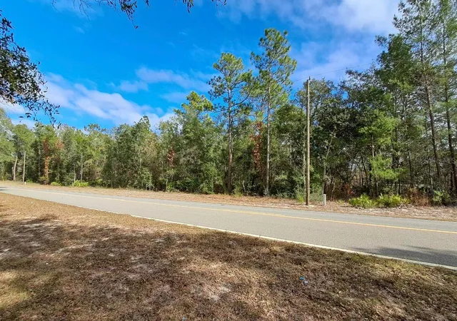 Photo 3 of Land for sale at Tbd, Interlachen, FL 32148 | MLS# O6413070 | Listing updated on 2026-06-25