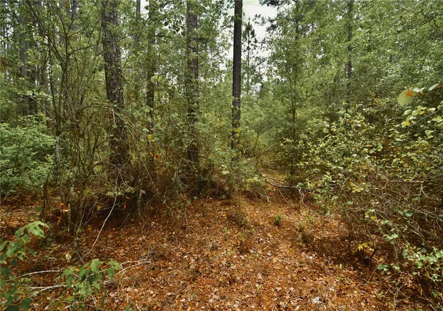 Homes for sale in Glen St Mary, FL | Sweet Gum Rd, Glen St Mary, FL 32040 | MLS# OM725868
