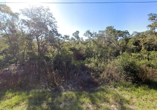 Photo 1 of Land for sale at 441 Vernon Ct, Kissimmee, FL 34759 | MLS# S5151102 | Listing updated on 2026-08-11