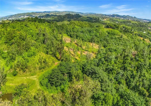 Homes for sale in Cidra, PR | 63 Sector Monticello, Cidra, PR 00739 | MLS# PR9121772