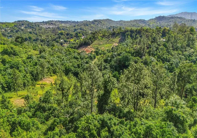 Homes for sale in Cidra, PR | 63 Sector Monticello, Cidra, PR 00739 | MLS# PR9121772