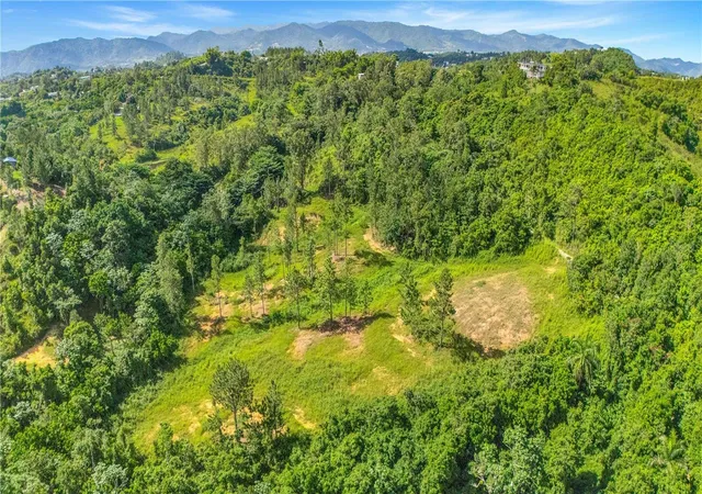 Homes for sale in Cidra, PR | 63 Sector Monticello, Cidra, PR 00739 | MLS# PR9121772