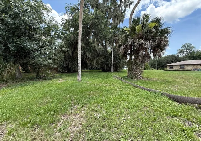 5th image of 0 Lake Pierce Dr, Lake Wales, FL 33898 | MLS# K4903533