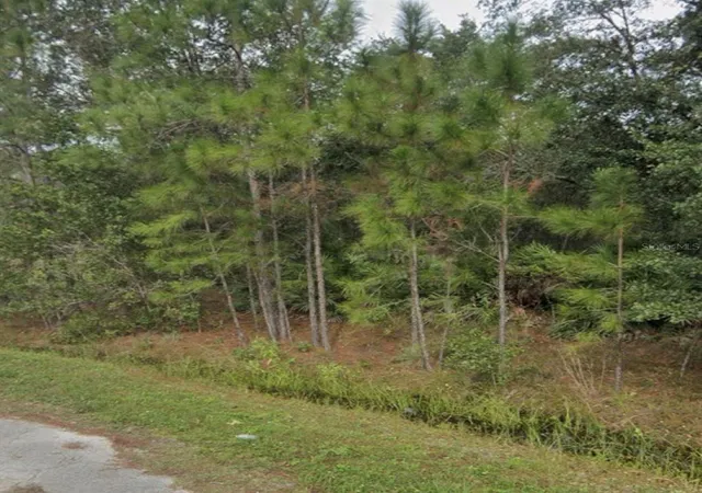 Photo 1 of Land for sale at 1437 Tern Ct, Kissimmee, FL 34759 | MLS# S5151109 | Listing updated on 2026-09-25