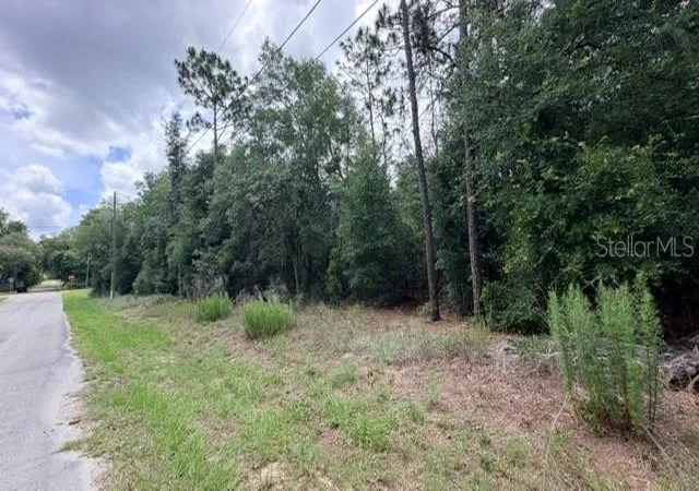 Photo 2 of Land for sale at 3223 E Scofield St, Inverness, FL 34453 | MLS# TB8514996 | Listing updated on 2026-08-31