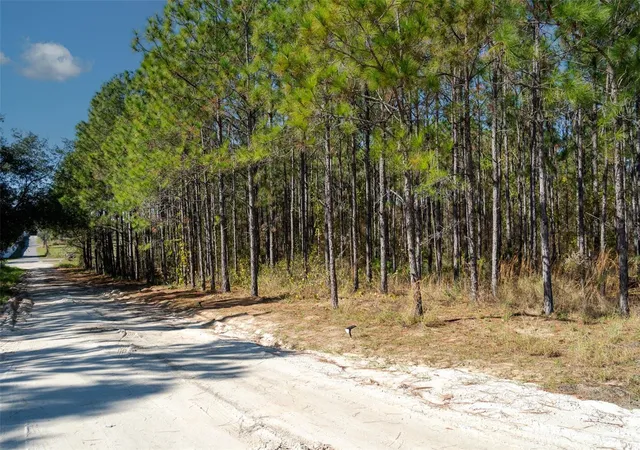 5th image of Lost Lake Rd, Clermont, FL 34711 | MLS# O6413163