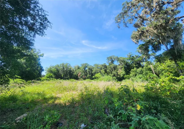 4th image of Tbd 97Th Street Rd, Anthony, FL 32617 | MLS# OM725890