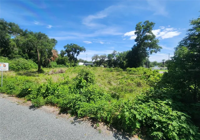 5th image of Tbd 97Th Street Rd, Anthony, FL 32617 | MLS# OM725890