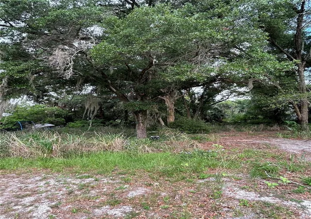 Photo 2 of Land for sale at 508 Palmetto St, Eustis, FL 32726 | MLS# G5113238 | Listing updated on 2026-07-20