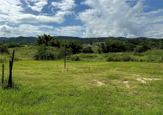 Homes for sale in Juncos, PR | (Undisclosed), Juncos, PR 00777 | MLS# PR9121794