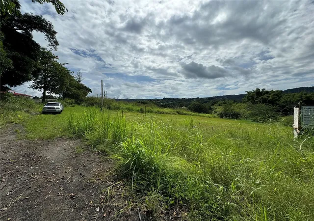 Homes for sale in Juncos, PR | (Undisclosed), Juncos, PR 00777 | MLS# PR9121794