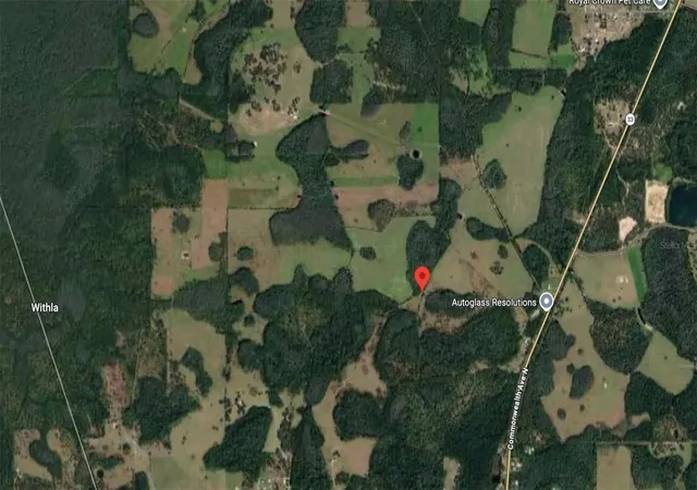 8th image of 28341015,  81840448 Polk City, Fl 33868, Polk City, FL 33868 | MLS# S5151154
