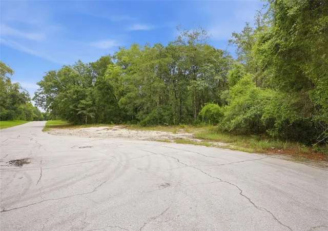 Photo 2 of Land for sale at 000 Sw 172nd Loop, Ocala, FL 34473 | MLS# G5113248 | Listing updated on 2026-08-11