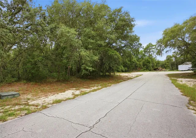 Photo 3 of Land for sale at 000 SW 172nd Loop, Ocala, FL 34473 | MLS# G5113248 | Listing updated on 2026-08-11