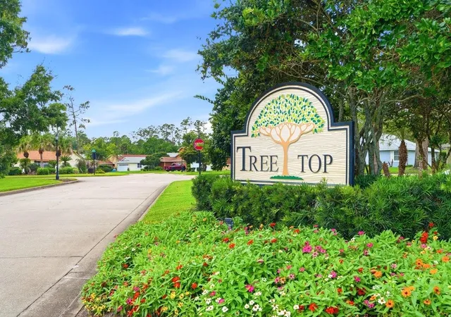 72nd image of 50 Treetop Cir, Ormond Beach, FL 32174 | MLS# NS1088400