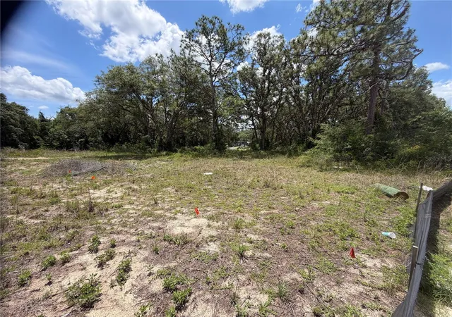 Homes for sale in Dade City, FL | 3310 Treiman Blvd, Dade City, FL 33523 | MLS# TB8515241