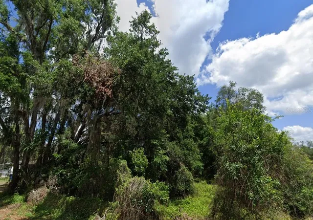 Photo 3 of Land for sale at Northwest 2nd, Webster, FL 33597 | MLS# D6147678 | Listing updated on 2026-09-02