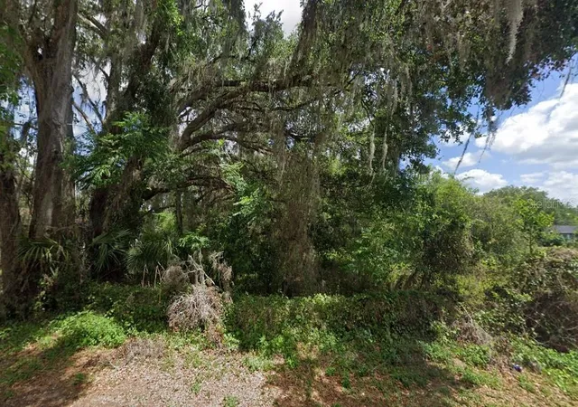 Photo 3 of Land for sale at Northwest 2nd, Webster, FL 33597 | MLS# D6147678 | Listing updated on 2026-09-02