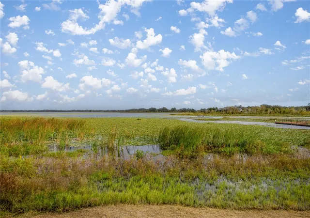 Homes for sale in Oxford, FL | 10367 Addison Shore Wy, Oxford, FL 34484 | MLS# OM725939