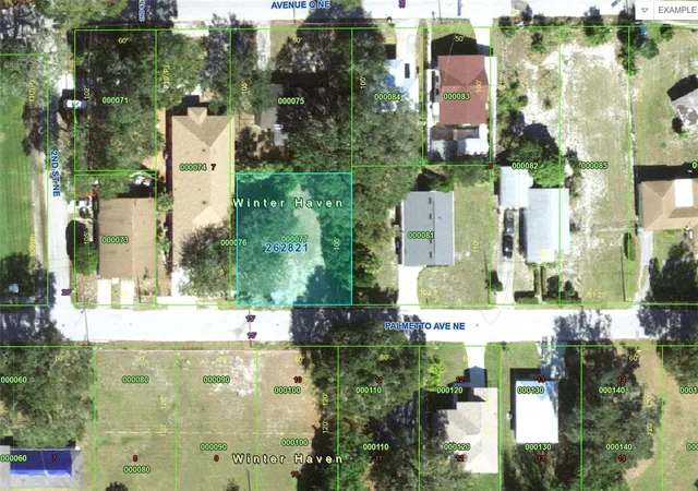2nd image of 223 Palmetto Ave Ne, Winter Haven, FL 33881 | MLS# P4938911